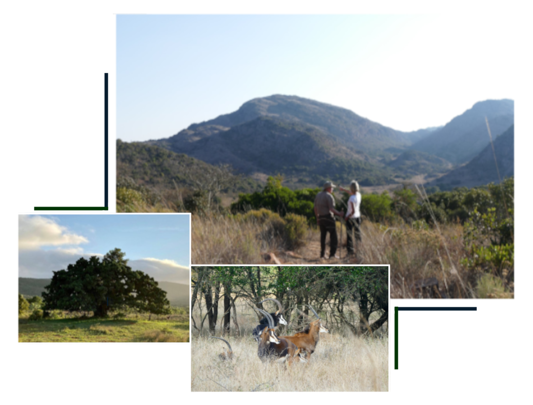 Activities at the Waterberry camp